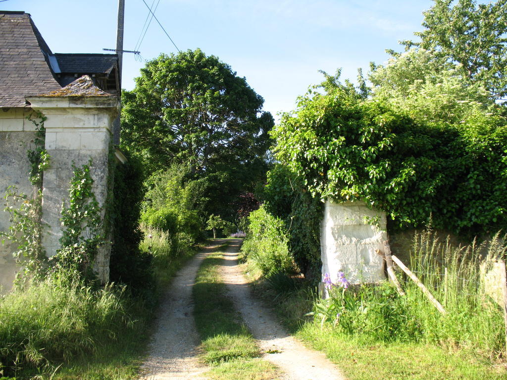 La Mesnagerie Bed and Breakfast Jarzé Buitenkant foto