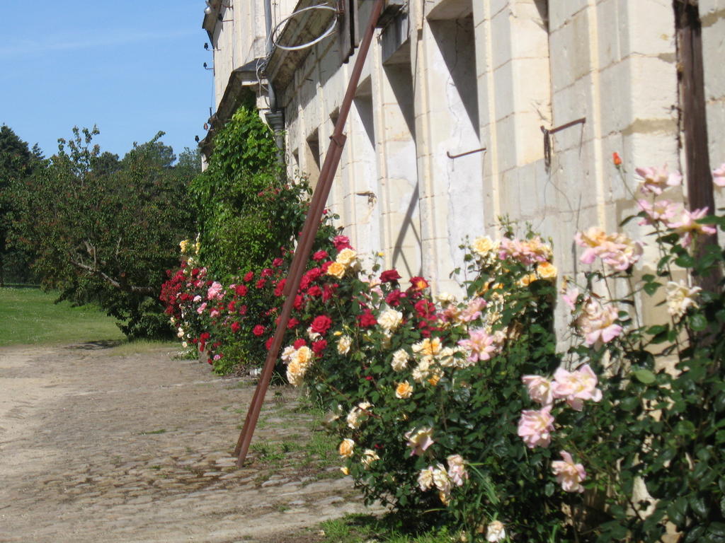 La Mesnagerie Bed and Breakfast Jarzé Kamer foto