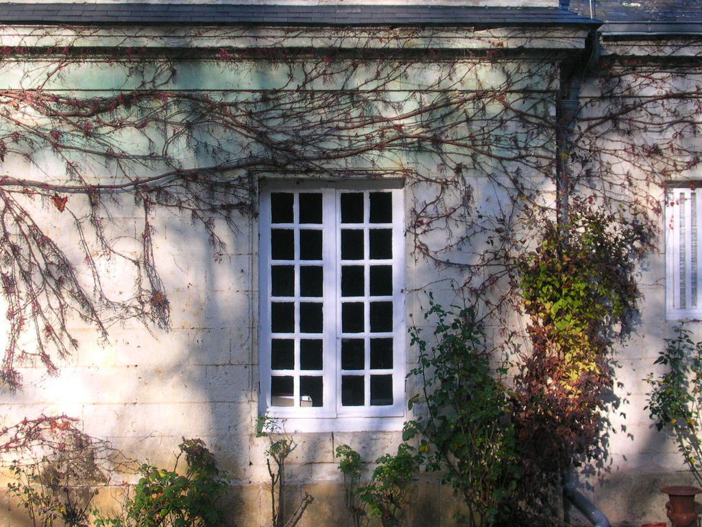 La Mesnagerie Bed and Breakfast Jarzé Buitenkant foto